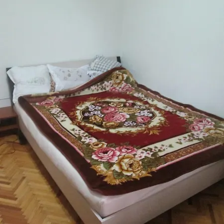Central Timisoara