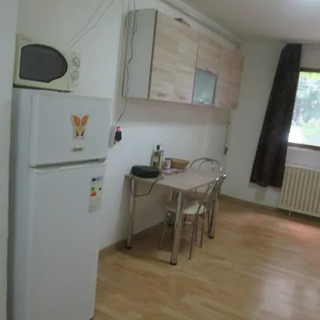 Central Timisoara