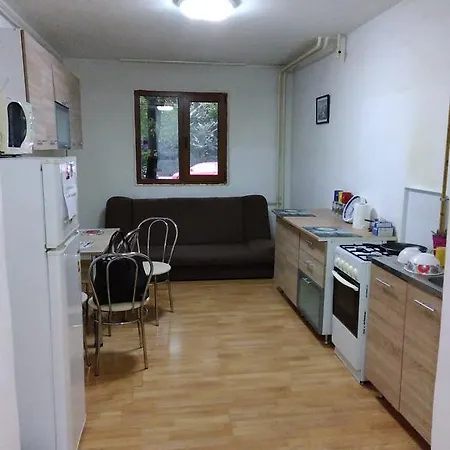 Central Timisoara